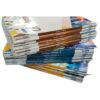 Allen JEE Mains 2025 Study Material Set of 21 Modules for Dropper Students